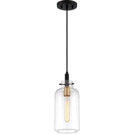 Quoizel Teagan Mini Pendant 1 Light Earth Black TGN1506EK
